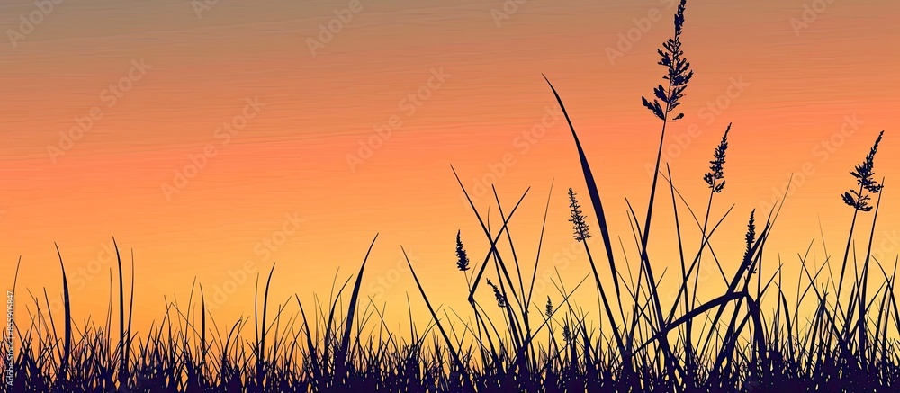 Poster silhouette of grass at sunset. copy space image. place for adding text or design