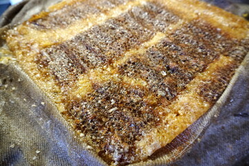 
Honey cells on fabric, ready for press. Mechanical honey press from fabric. Honey processing