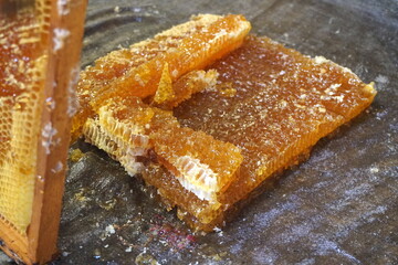 
Honey cells on fabric, ready for press. Mechanical honey press from fabric. Honey processing