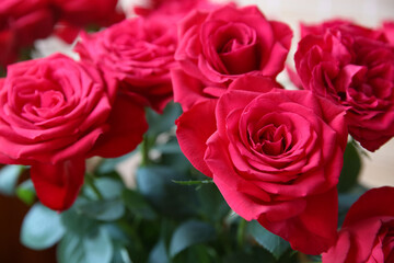 Blurred floral background. Bouquet of red roses. 