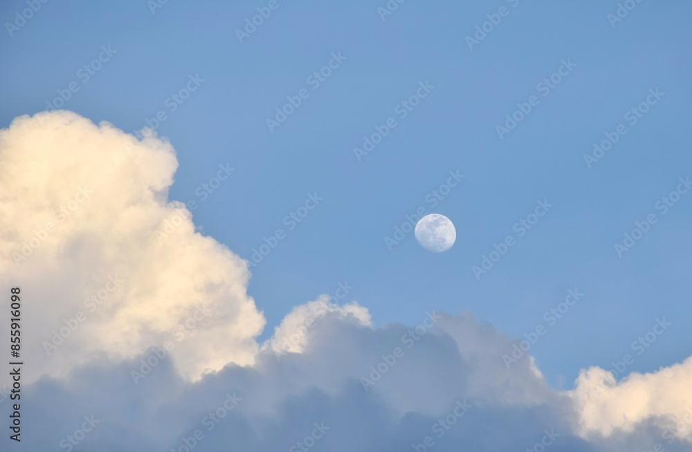 Wall mural half moon floating from rain cloud on sky in twilight background