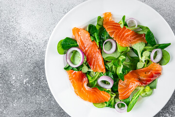 salad salmon appetizer meal food snack on the table copy space food background rustic top view keto or paleo diet vegetarian food