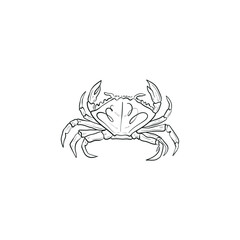 Ocean and Sea, Botanica illustration. Black ink, line, doodle style. 