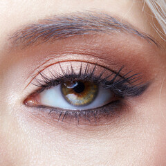 Obraz premium Closeup macro shot of human female eye with black arrows. Woman with natural evening vogue face beauty makeup.