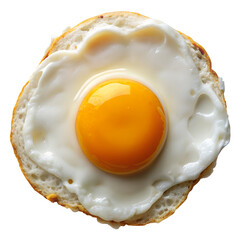 fried egg