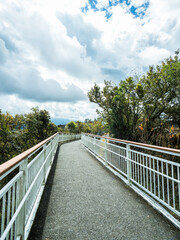skywalk in the forest surrounded by mountains