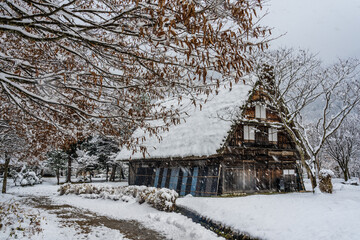 冬の世界遺産　白川村　豪雪