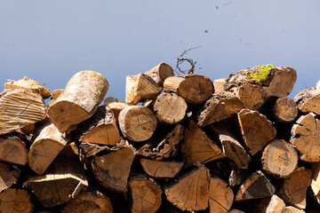 stack of firewood