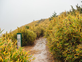 mountain road in the clouds, Mount Hehuan, Taiwan
