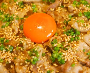 fried beef bento lunchbox with raw egg texture close up view