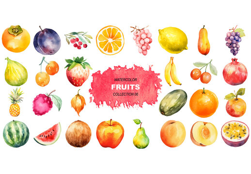 Vector watercolor painted style - fresh fruits clipart isolated on white background. Created using Generative AI.