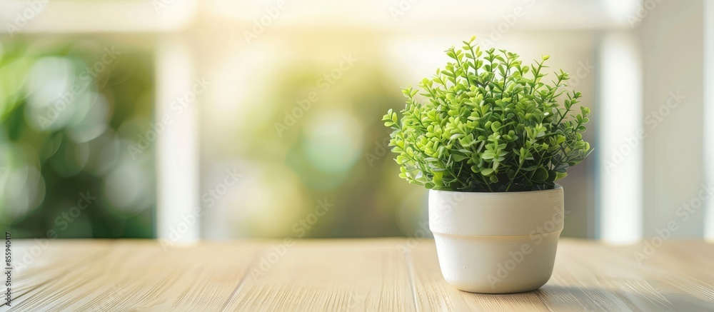 Poster close up of green plant in vase on table. copy space image. place for adding text and design