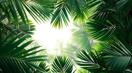 Green palm leaves creating a dense, natural border around an empty white space in the middle