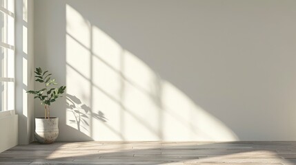 Shadow on White Wall in Sunlit Empty Interior