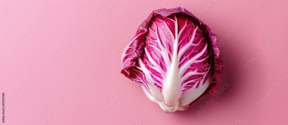 Poster radicchio leaf isolated on pastel background food isolated. copy space image. place for adding text 