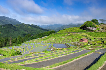 丸山千枚田
