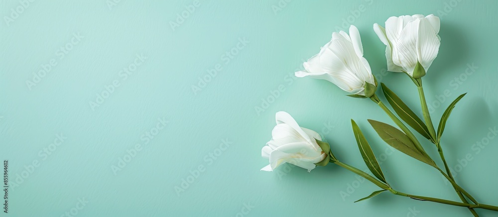 Poster white flower on pastel background flower isolated. copy space image. place for adding text and desig