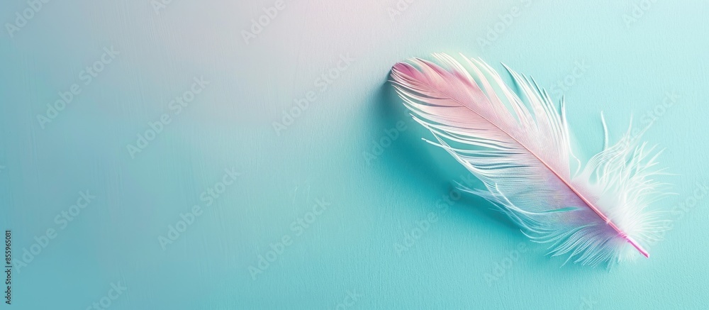 Poster bird feather on pastel background feather falling . copy space image. place for adding text and desi