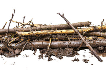 Fototapeta premium A close-up of a pile of wet, muddy sticks and twigs, showcasing the texture and natural details in an earthy setting.