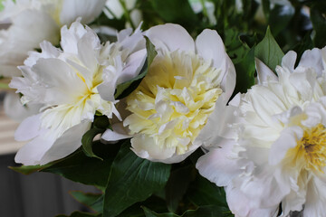 Blurred floral background. A bouquet of white peonies.