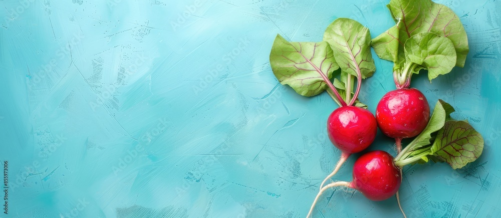 Poster radish isolated on pastel background radish icicle. copy space image. place for adding text and desi