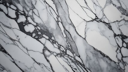 Fototapeta premium TEXSTURE OF COOL GREY AND WHITE MARBLE