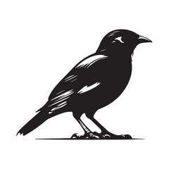 Bird Silhouette Vector Art illustration