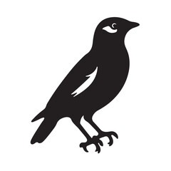 Vector Art Bird Silhouette illustration