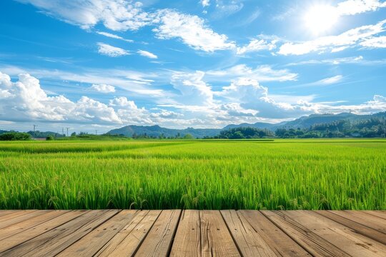 montage of wooden table tops with paddy fields against soft blue skies, concept for product display backrounds
