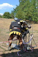 Naklejka premium battle reconstruction, role-playing