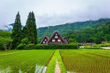 Traditional and Historical Japanese village Shirakawago in Gifu Prefecture Japan, Gokayama has been...