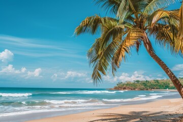 Fototapeta premium There is a beautiful sandy beach with coconut palm trees sticking out of the sea and a bright blue sky with cloudscapes in the distance