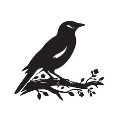 Vector Art Bird On Branch Silhouette illustration