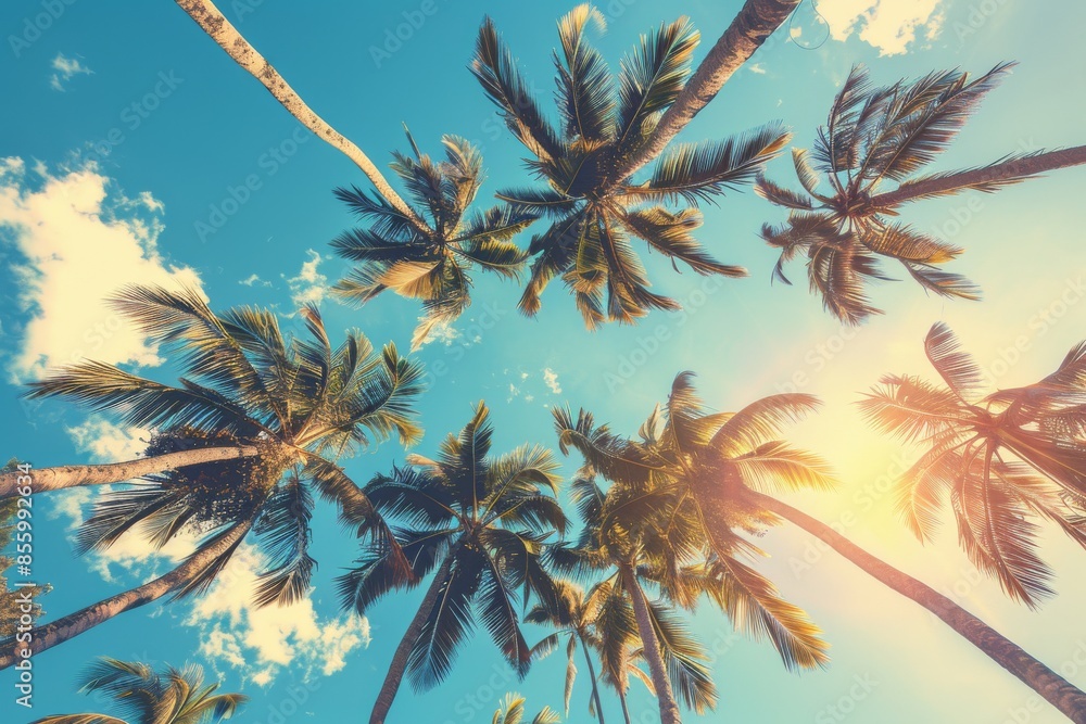 Poster palm trees and coconut trees in a tropical setting at summer time