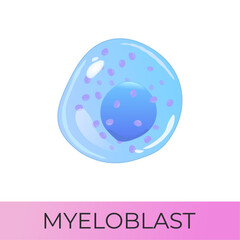 Myeloblast cell. Myeloid system cell. Isolated vector icon