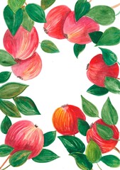 apples with leaves watercolor