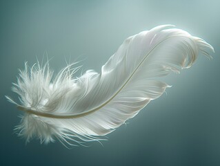 Obraz premium Delicate White Feather Floating in Mid-Air Against Soft Blue Background 