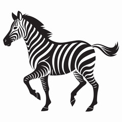zebra vector illustration