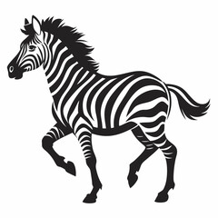 zebra vector illustration