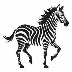 zebra vector illustration