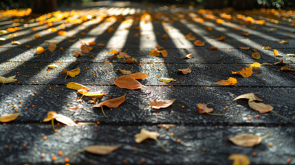 Obraz premium A path covered in autumn leaves, with the sun shining down on the ground