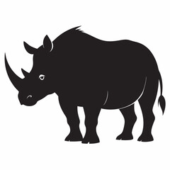 rhino isolated on white