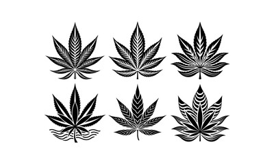 cannabis leaf vector illustration