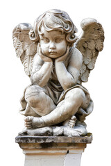 Obraz premium baby angel isolated on white