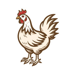 Fototapeta premium rooster isolated on white background