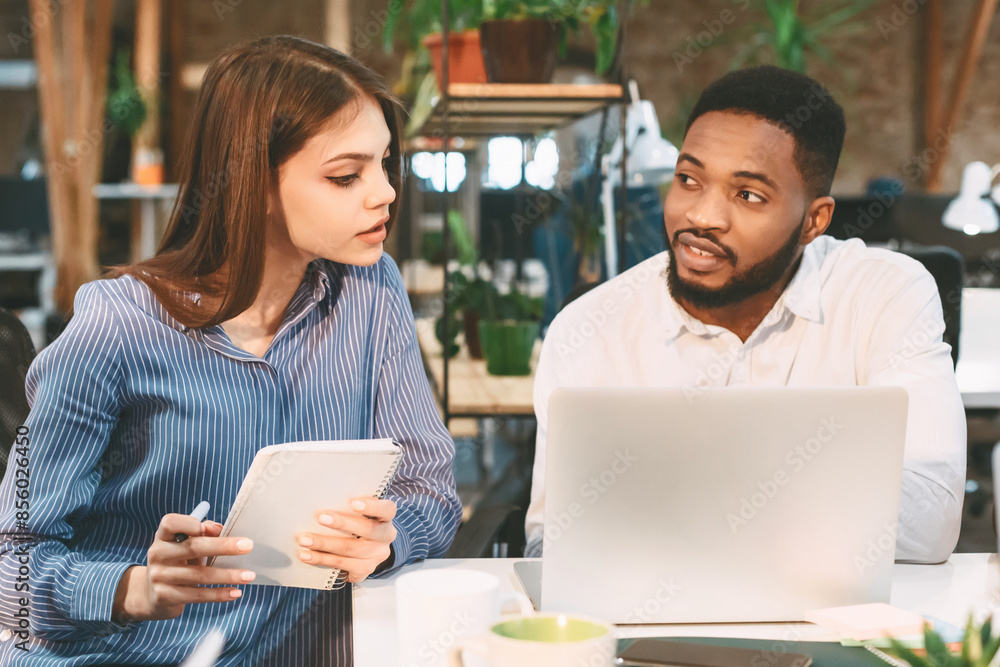Poster two colleagues discuss work while looking at a laptop. the woman holds a notepad. they are in an off