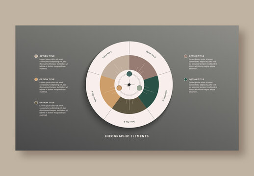 Circular 5 Step Workflow Infographic