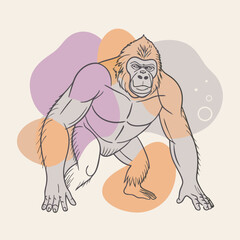 gorilla silhouettes vector illustration