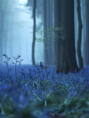 Obraz premium Misty Forest Carpet of Bluebells Enchanting Woodland Landscape