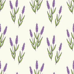 Obraz premium Pattern with Lavender flowers doodle, Provencal style, on pastel background. Vector illustration